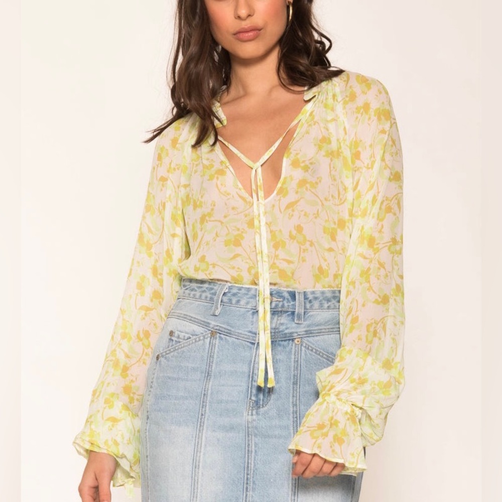 Anthropologie (Aureta brand) sheer blouse